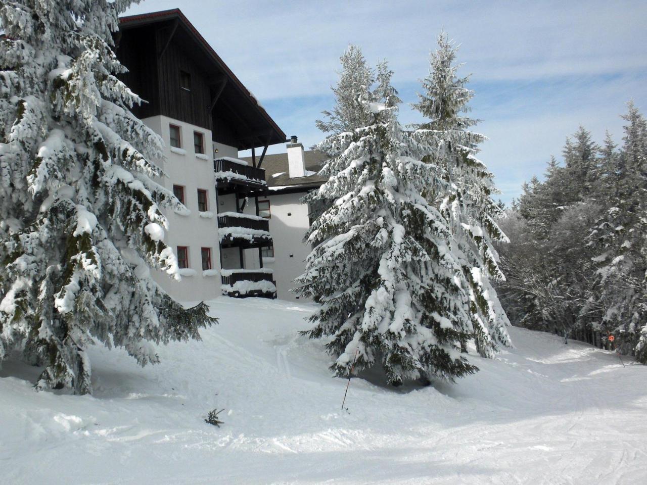 Villa Whistlepunk 32 Snowshoe Esterno foto